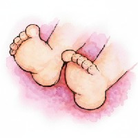 feet