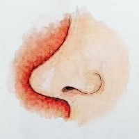 nose